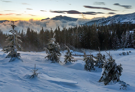 日出冬季山区风景山坡上有云和木林图片