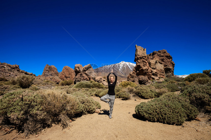 在西班牙加那利卡纳里热带特内里费岛Vrikshaasana树丛等背景下与ElTeide火山进行图片