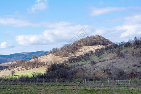 保加利亚春天美丽的森林草坪和树林春图片