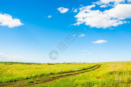 绿草的田地和云彩的蓝天空美图片