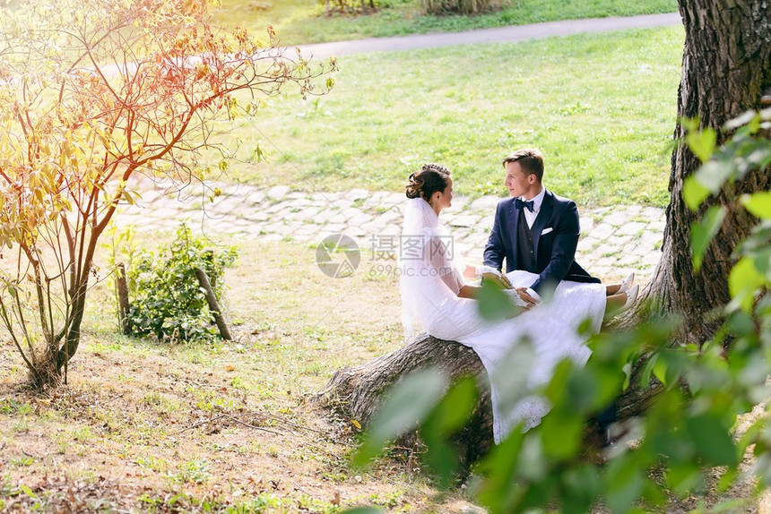 年轻夫妇坐在公园的树干上图片