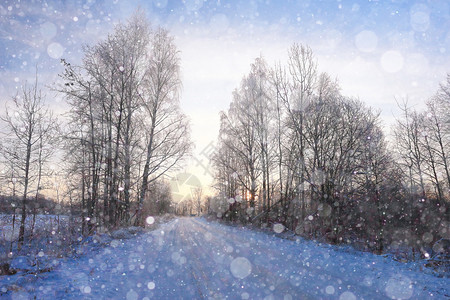 自然背景森林中冬季积图片
