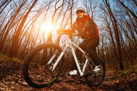赛车手骑着自行车在美丽的春林图片