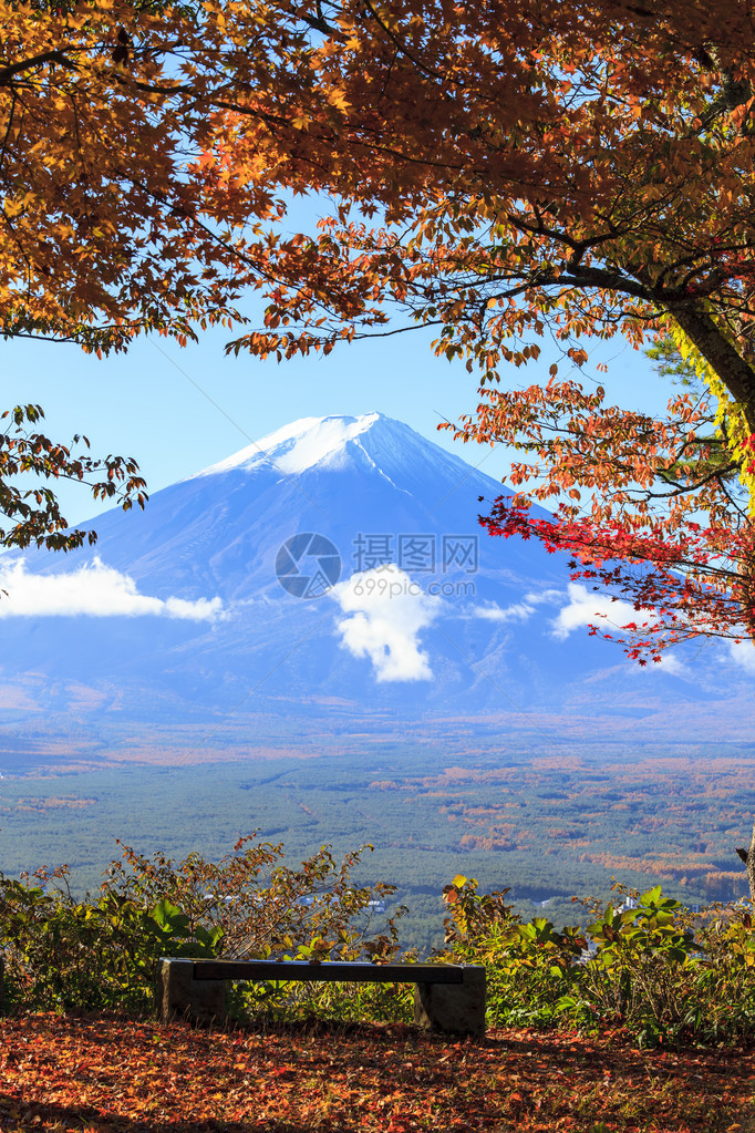 日本富士山秋季黄色图片