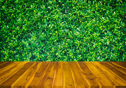木材纹理和绿叶背景图片