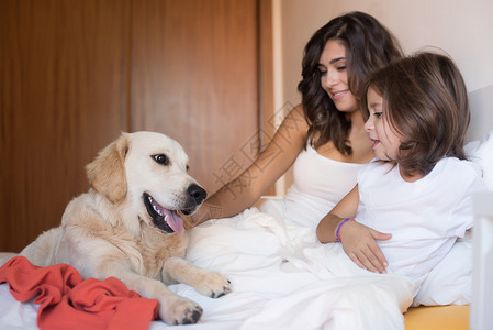 在床上家人的黄金猎犬图片