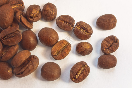 咖啡豆在光背景上被隔绝视野最优图片