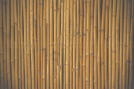 竹栅栏背景电影风格图片