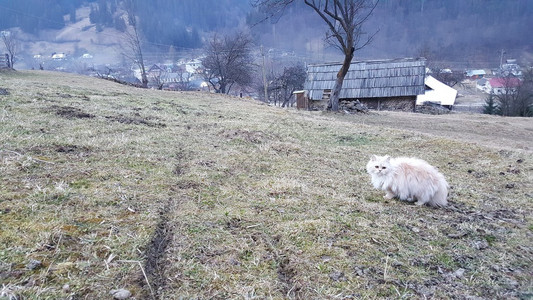 美丽的山地风景喀尔图片