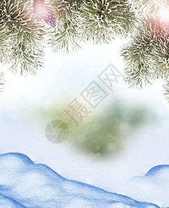 冬季森林冬季风景雪覆盖树木图片
