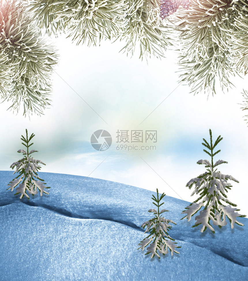 冬季森林冬天风景图片