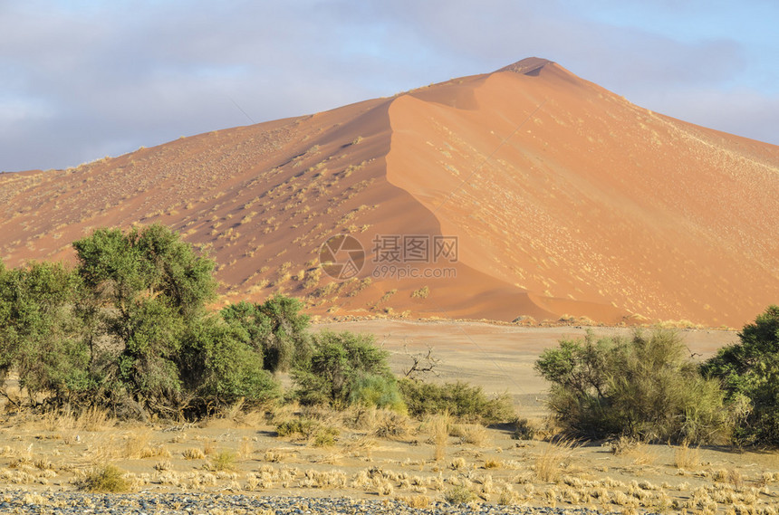 纳米比亚纳米布沙漠图片