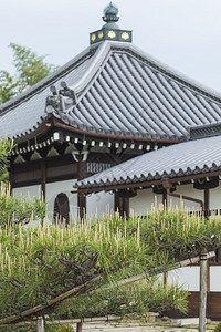 Toji东寺是日本京都神贡教图片