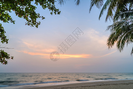 泰国长岛或高昌的棕榈树日图片