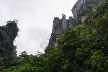 张家界百龙电梯华家吉森林公园的背景