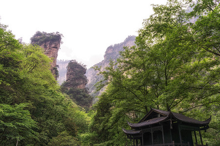 张家杰Zhangjiajie图片