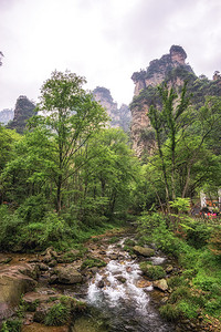 在的Yangjiajie风景区图片