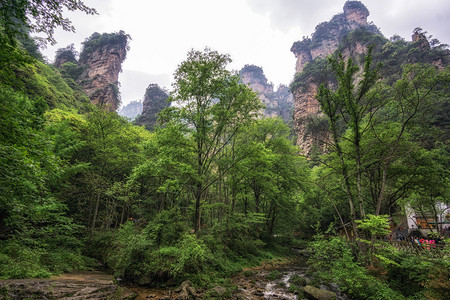 金鞭崖在的Yangjiajie风景区背景