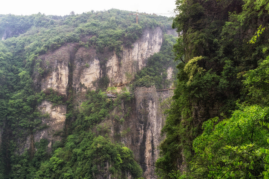 大峡谷悬崖边的景色长在悬崖上和狭窄的石头山图片