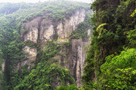 大峡谷悬崖边的景色长在悬崖上和狭窄的石头山图片