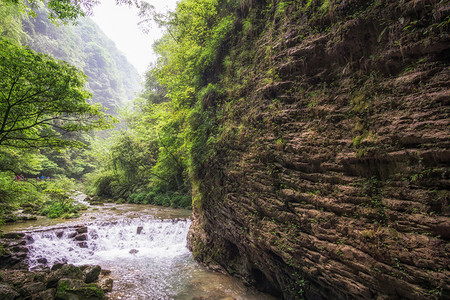 大峡谷的底部有溪流围绕小溪水的森林和高清图片
