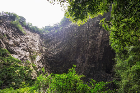 八泉峡大峡谷的底部有溪流围绕小溪水的森林和背景