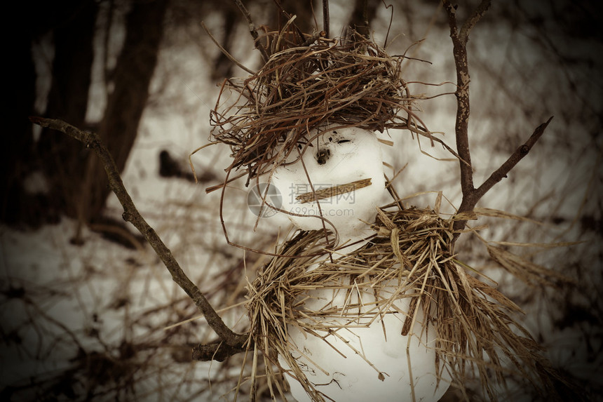 以棍棒和Reed制成的农村雪人S图片