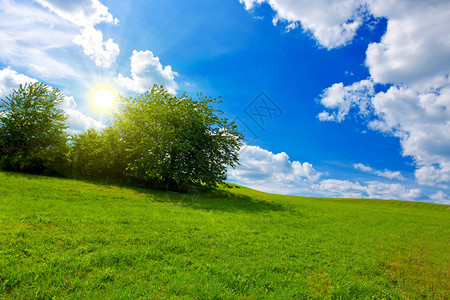 绿地和蓝天空云彩明亮野地图片