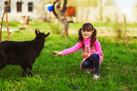 孩子们在户外快乐地喂山羊图片