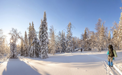 一群滑雪者在冬季山丘和森林中徒步旅行图片
