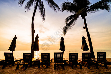 日出时沙滩和海边美丽的椰子棕榈树图片