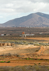 西班牙加那利群岛Fuerteventura安提瓜村附近的田图片