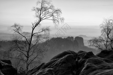 夕阳下迷雾笼罩的深谷德国萨克森瑞士公园砂岩观点图片