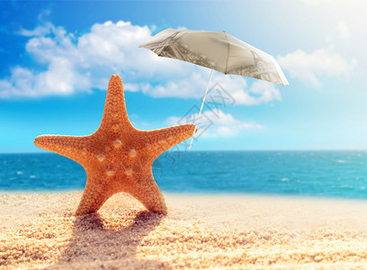 沙滩上带阳伞的海星图片