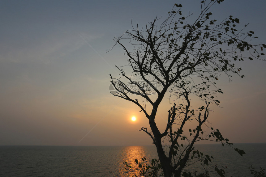 傍晚的夕阳下有图片