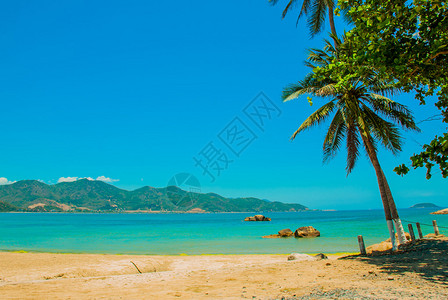 有着棕榈树和海的美丽的海滩NhaTra图片