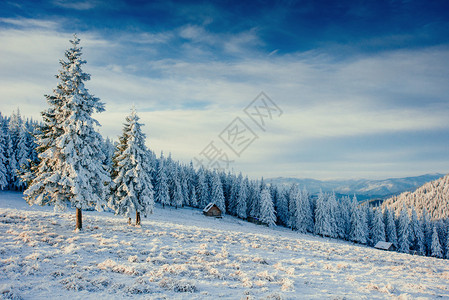 喀尔巴阡山脉冬季冰雪覆盖树木的冬季风景冬季胡拉冻霜和小木屋图片