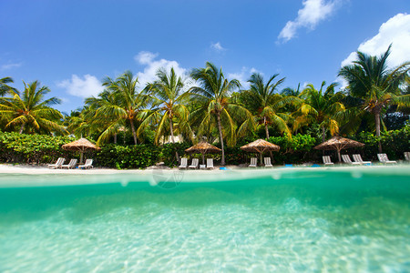 加勒比英属维尔京群岛美丽的热带海滩图片