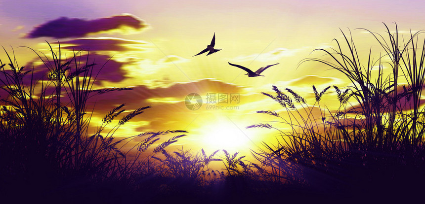 如诗画的日落景观的彩色插图图片
