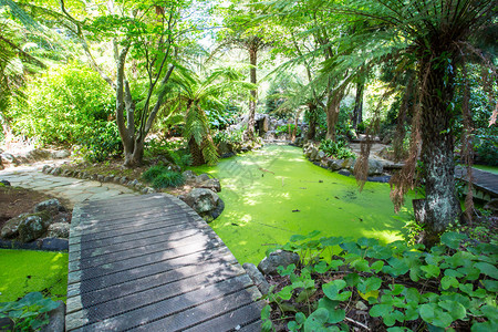 AlfredNicholas纪念花园在澳大利亚维多利亚墨尔本附近背景图片