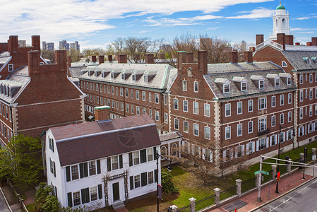 美国马萨诸塞州桥哈佛大学地区约翰肯尼迪街的空中景象图片