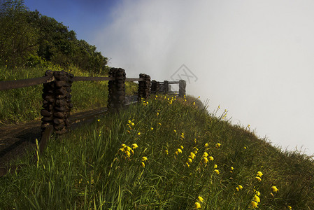 在云雾石墙维多利亚瀑布等背景的绿图片