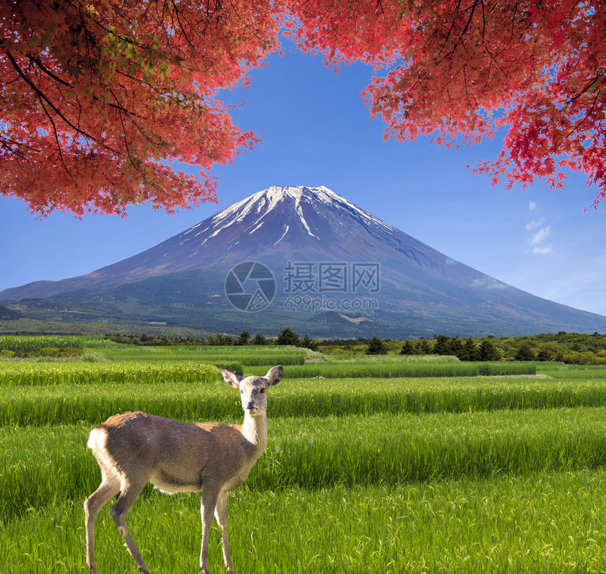 夏月山的神奇风景色图片