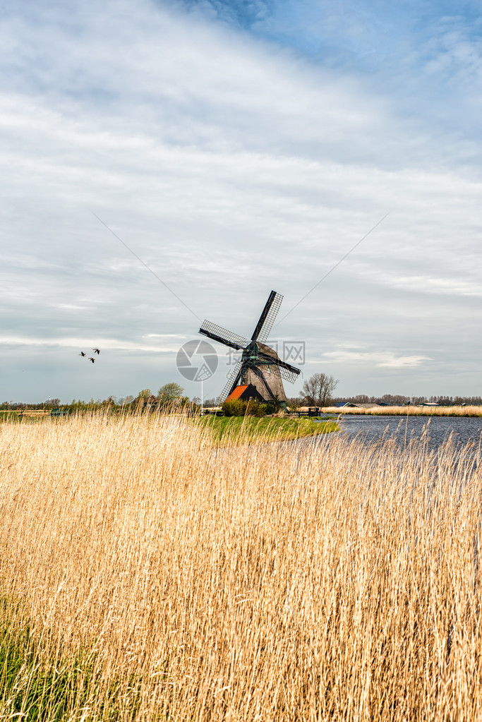 荷兰风车沿一条小运图片