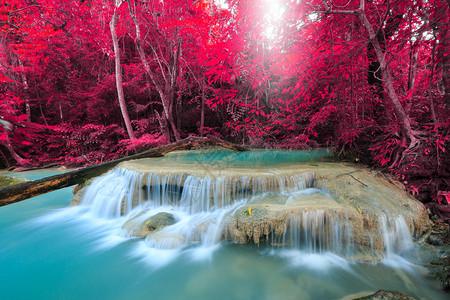 雨林美丽的瀑布图片