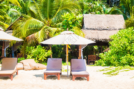 美丽的热带海滩和海洋景观中的雨伞和椅子图片