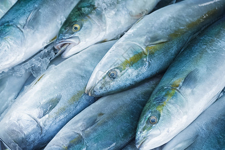 海洋食品市场图片