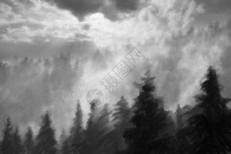 抽象水彩黑白背景松林水墨画图片