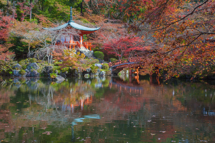 京都戴高吉寺庙世界遗产的秋季美丽的日本花园DaigojiTemp图片