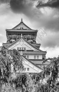 大阪城堡在植被图片